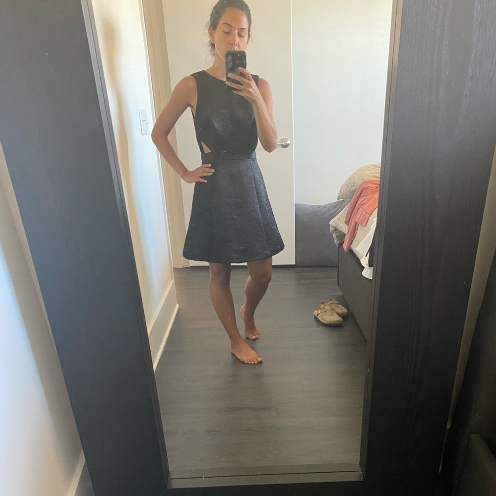 Size 4 Black Halston Heritage Dress
